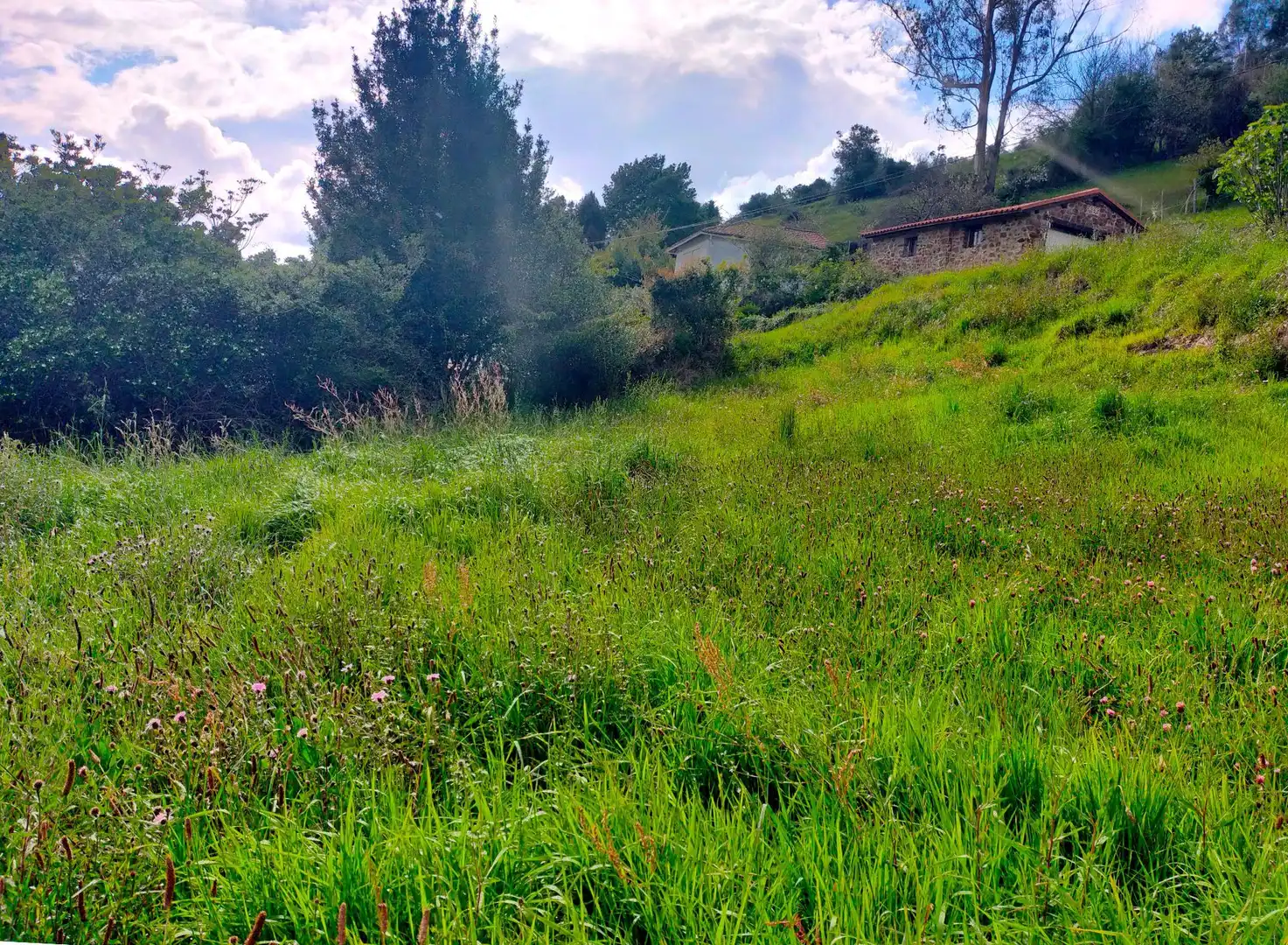 Terrenys i solars en venda a Candamo, imagen 5