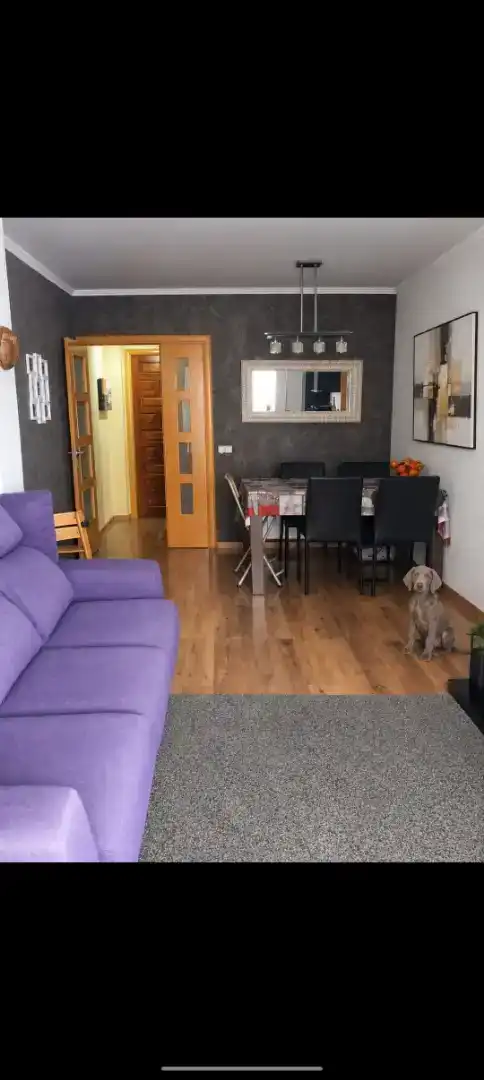 Living room of Flat for sale in Cunit  with Air Conditioner and Balcony
