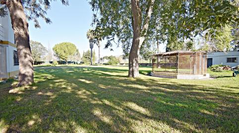 Foto 4 de Finca rústica en venda a Parque Atlántico - Ronda este, Cádiz