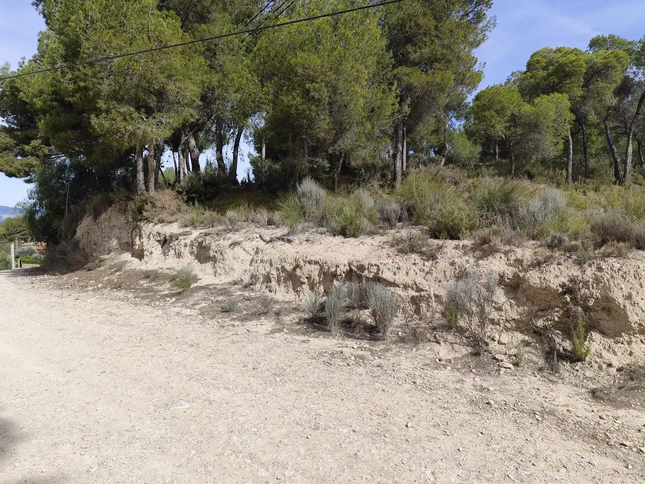 Terrenys i solars en venda a Tibi, imagen 6