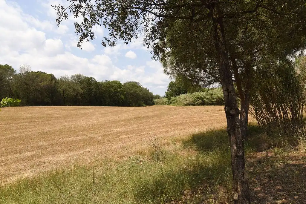 Terreno rústico en venta en Lliçà de Vall, imagen 14
