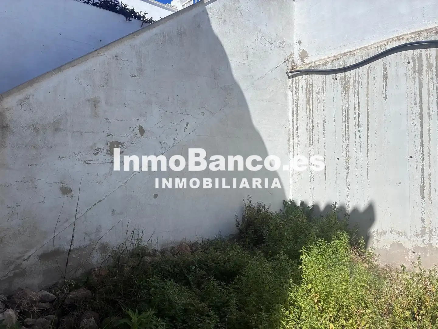 Exterior view of Houses for sale in Montserrat  with Private garden and Terrace