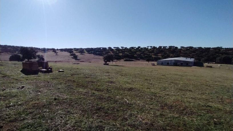 Industrial land for sale in Fuente Obejuna