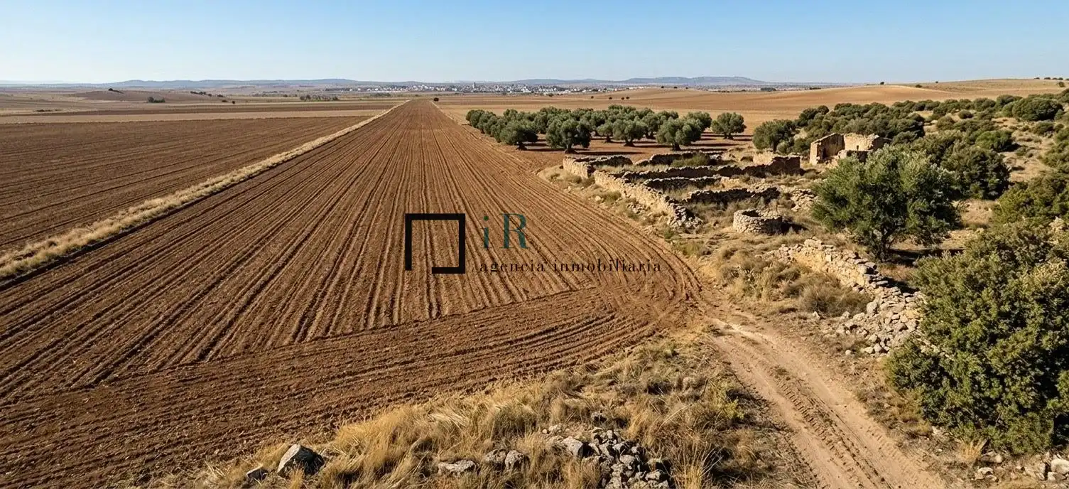 Terreny rústic en venda a Argés, imagen 2