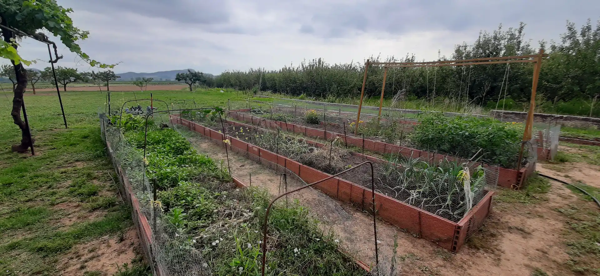 Xalet amb jardí en venda a Entrena, imagen 12