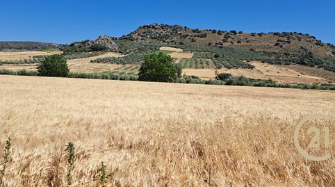 Photo 3 of Residential for sale in Carretera Ronda Campillos, Cuevas del Becerro, Málaga