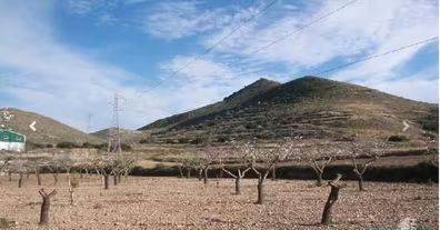 Terreno en Venta en Casco Antiguo