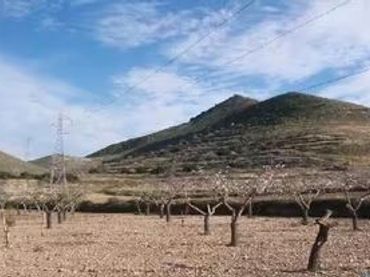 Terreno rustico in vendita a Cartagena ciudad