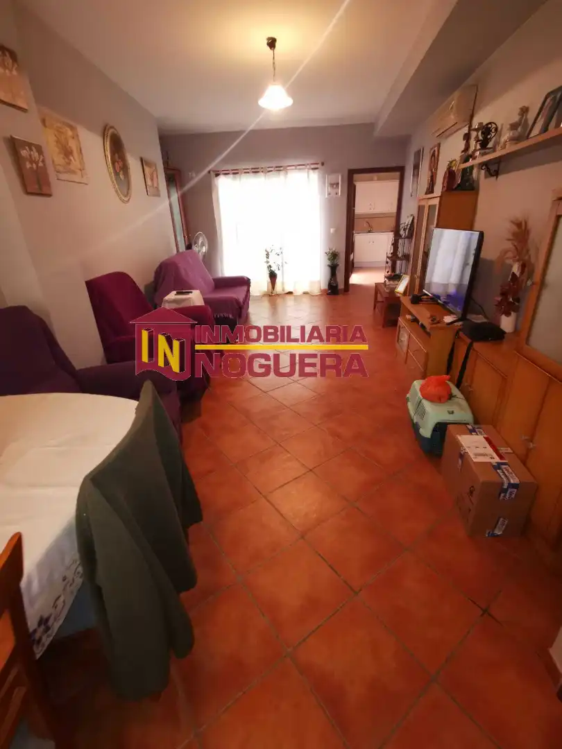 Sala d'estar de Casa o xalet en venda en Écija amb Terrassa