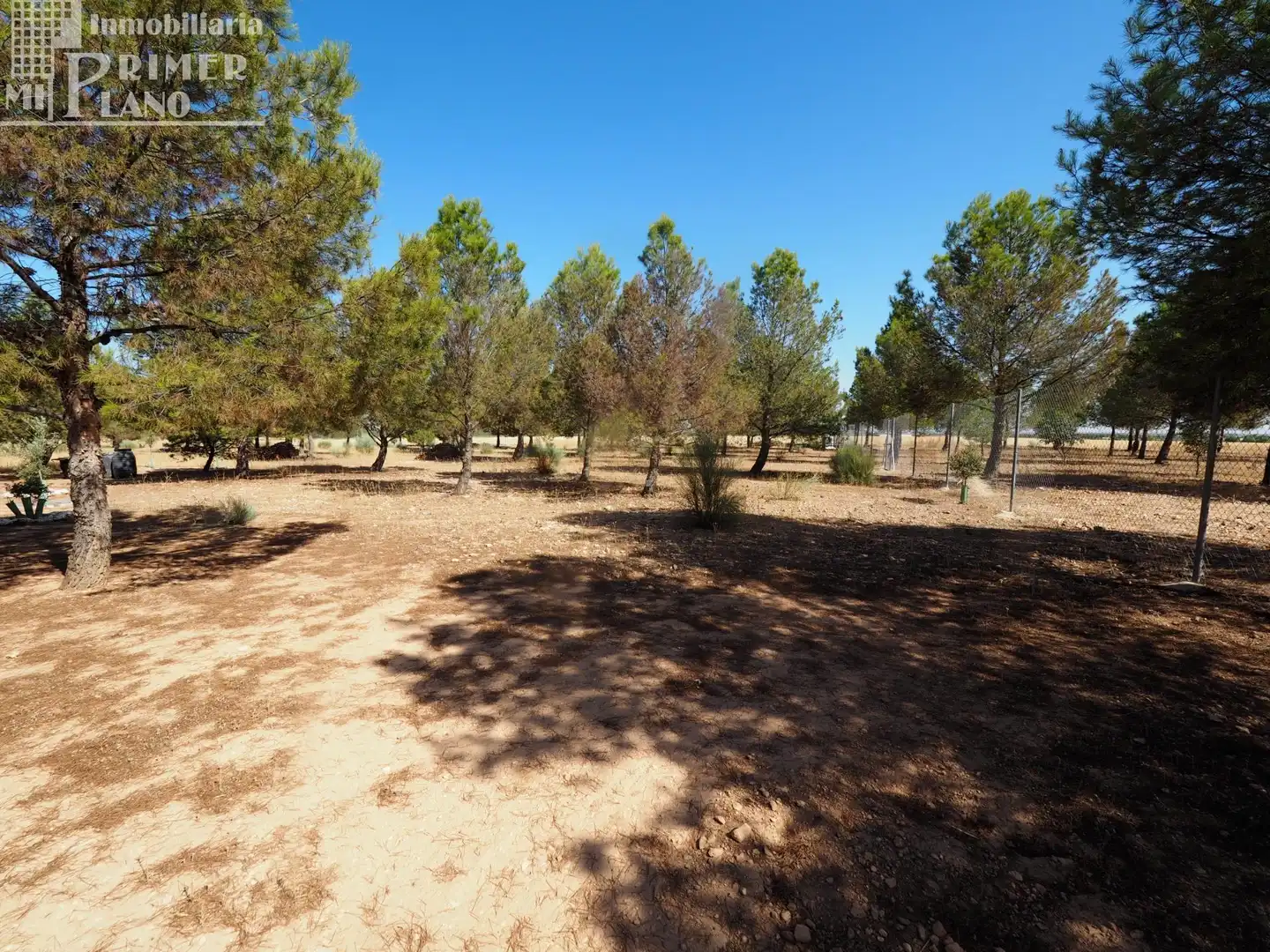 Chalet en venta en Tomelloso, imagen 9
