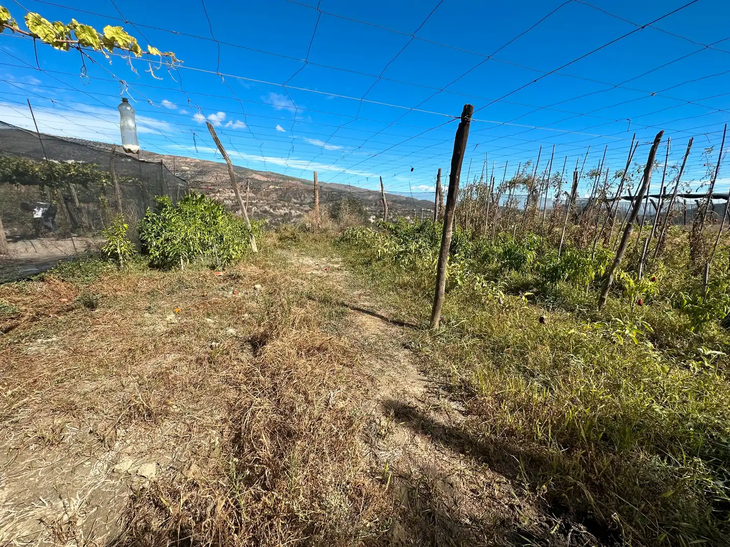Finca rústica en venda en Canjáyar amb Jardí privat, Terrassa i Traster