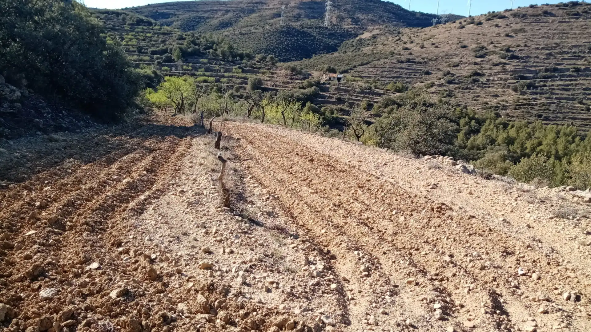 Terreno en venta en Villores