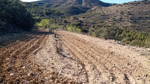 Foto 2 von Grundstücke zum Verkauf in Villores, Castellón