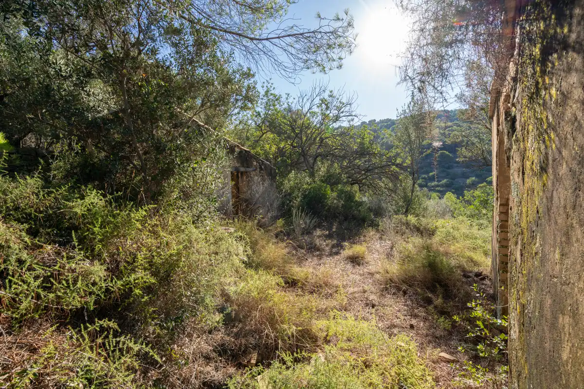 Terreny rústic en venda a Camí de la Potra de Pino 28, imagen 27