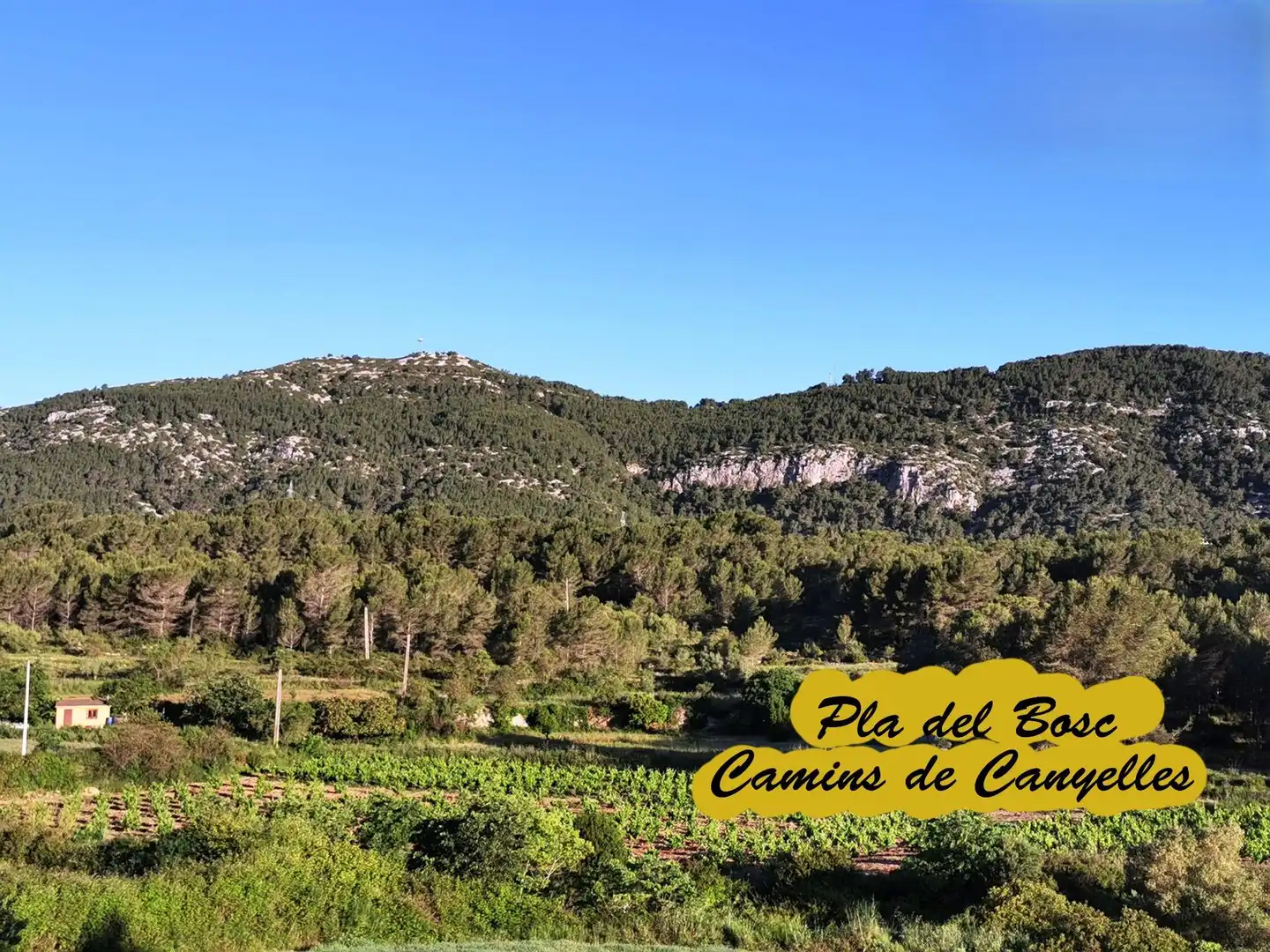 Terreno residencial en venta en Carrer CAMI DE LA VALL 3, imagen 8