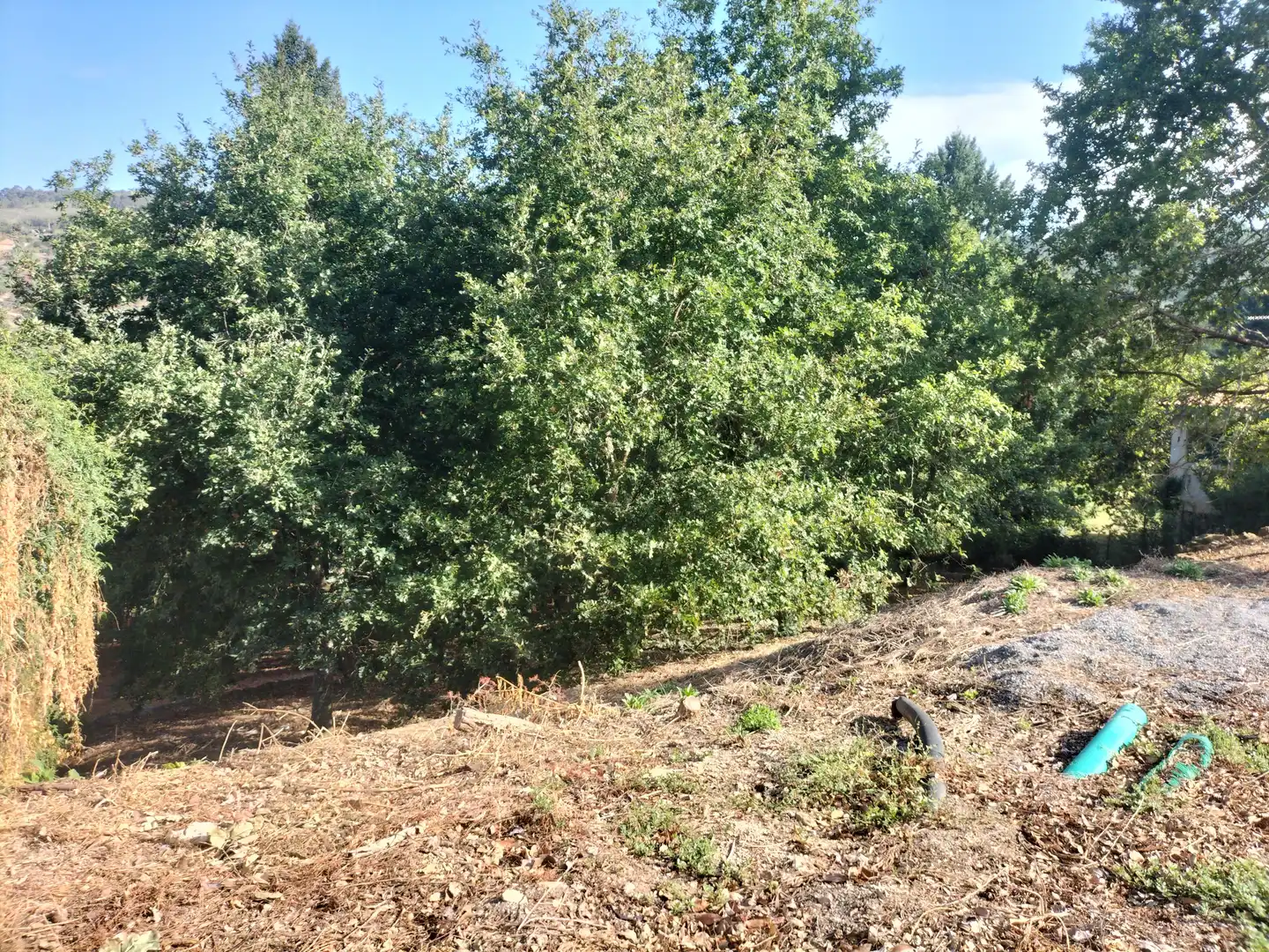 Residential land for sale in San Rosendo, imagen 5