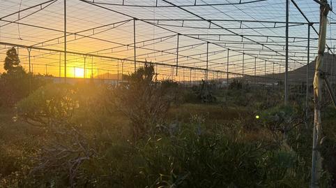 Photo 5 of Land for sale in Camino Cardon Alto, 6, Buzanada, Santa Cruz de Tenerife