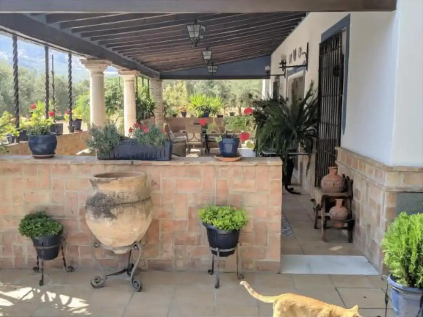 Terraza de Casa o chalet en venta en Baena con Piscina