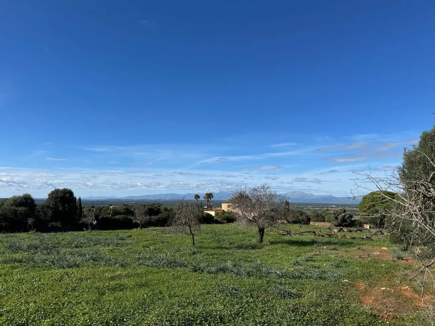 Casa rustica con giardino in vendita a Artà Poble, imagen 16