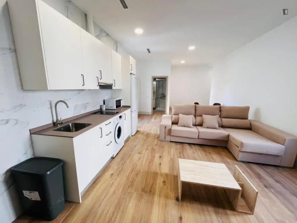 Apartments for rent in Universidad - Malasaña