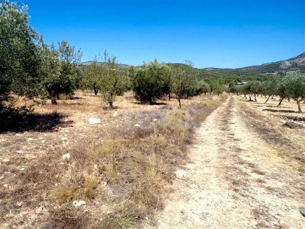 Terreny rústic en venda a Castalla, imagen 4