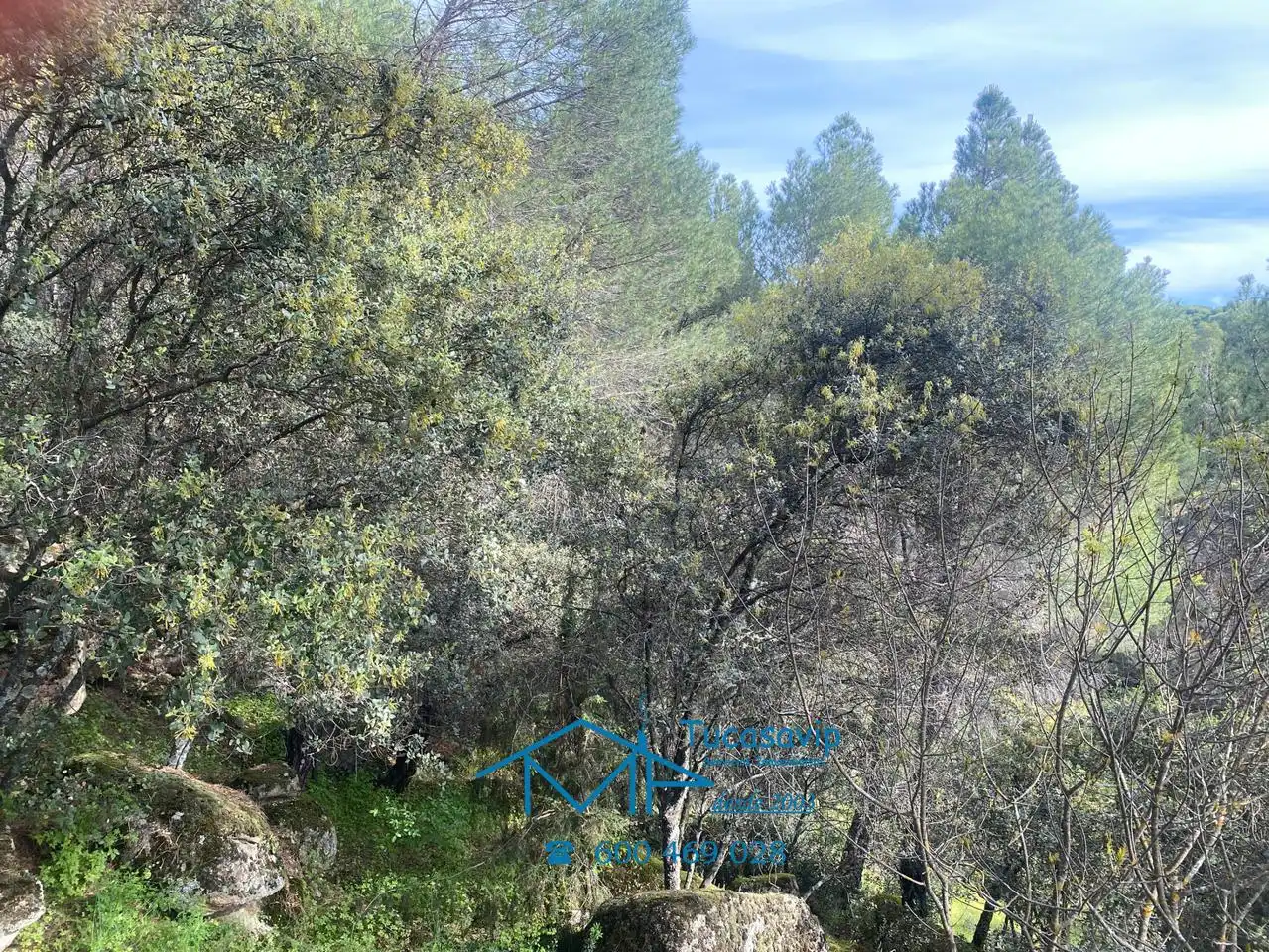 Terreni e lotti in vendita a Cebreros, imagen 19