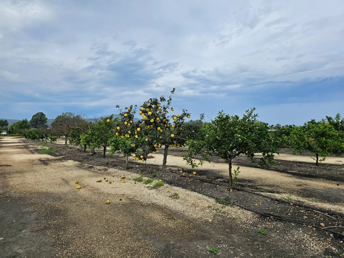 Exterior view of Country homes for sale in Amposta  with Air Conditioner, Private garden and Terrace