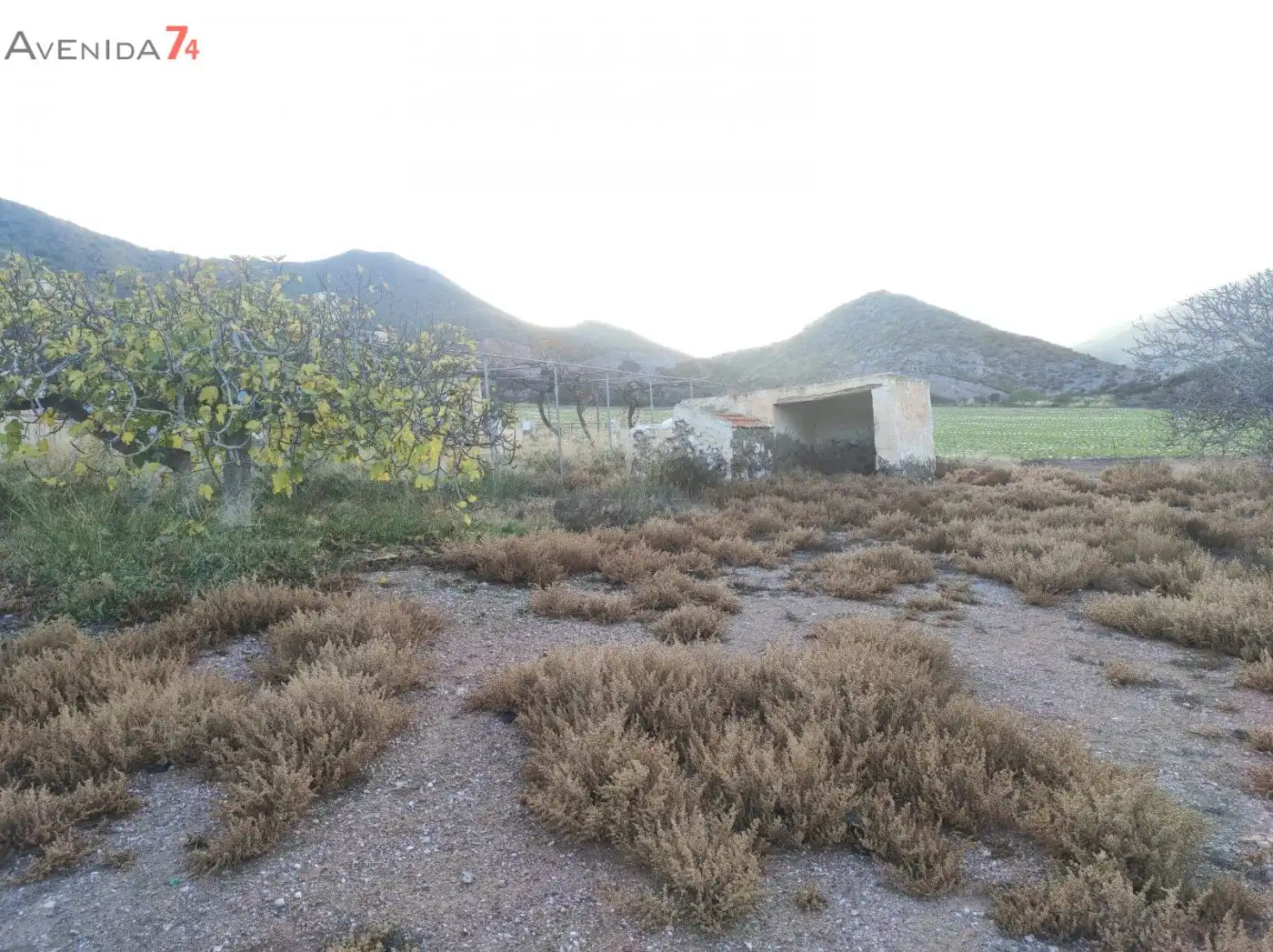 Casa amb jardí en venda a Tébar - Los Arejos, imagen 8