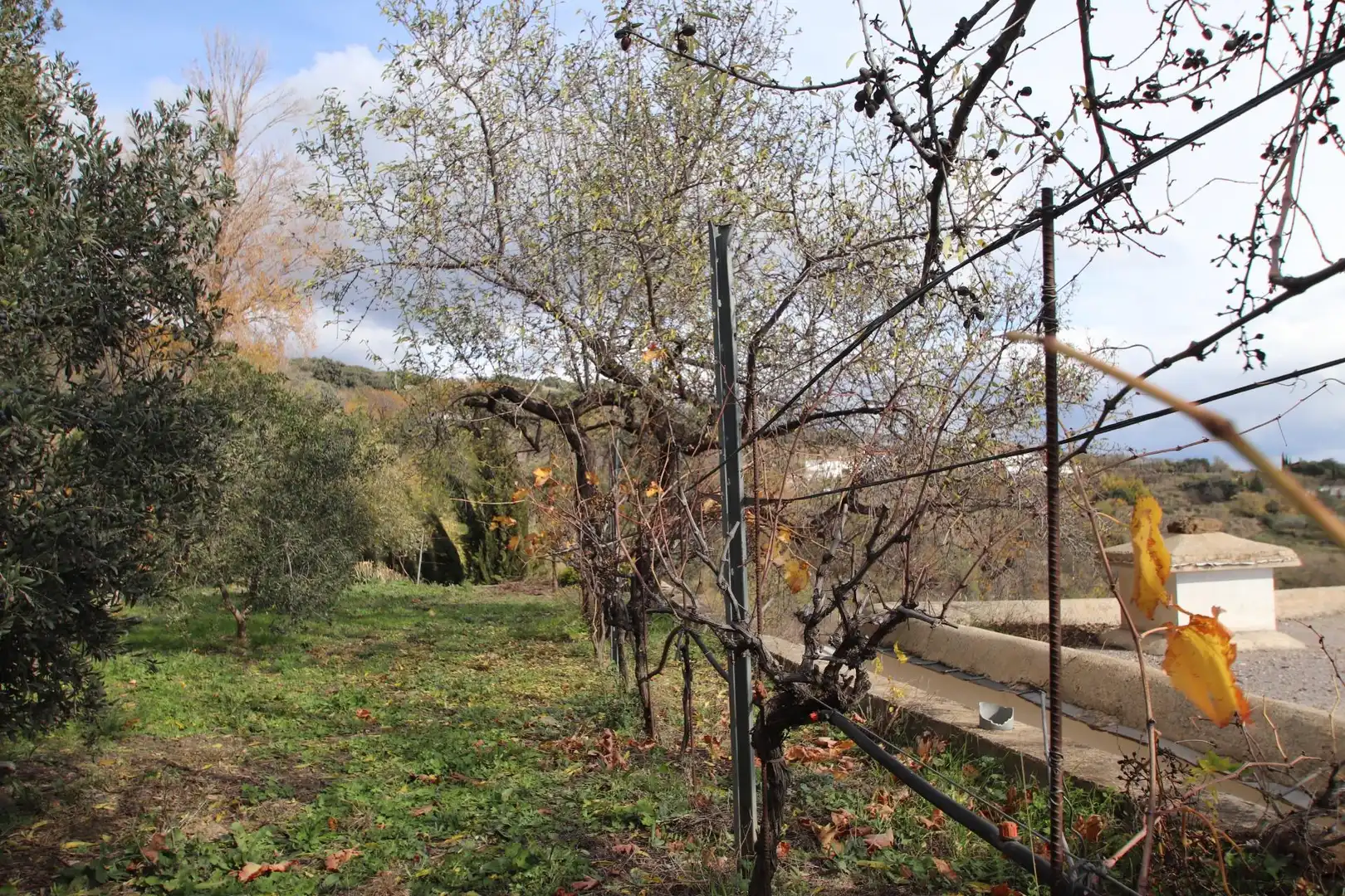 Casa rústica amb jardí en venda a Calle Humilladero 3, imagen 4