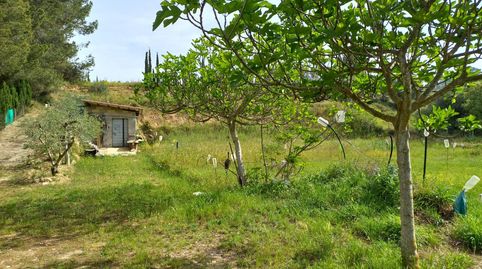 finca rustica