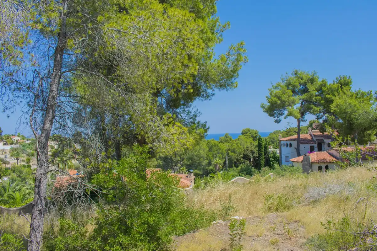 Wohnbaugrundstück zum Verkauf in La Fustera, imagen 17