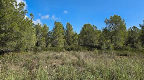 Foto 3 de Residencial en venda a Calle de la Tasca, 207, Sant Jordi d'Alfama, Tarragona