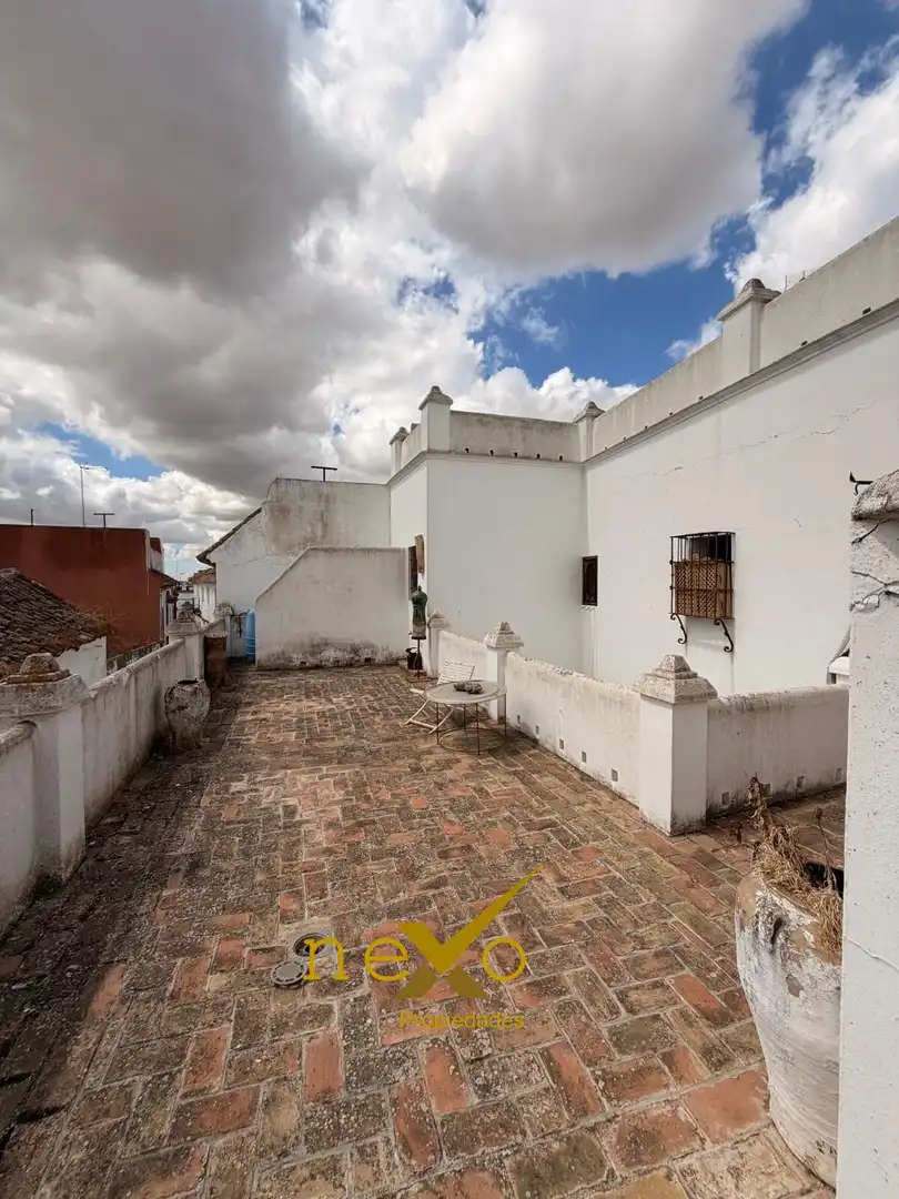 Vista exterior de Casa o chalet en venta en Carmona con Aire acondicionado y Terraza