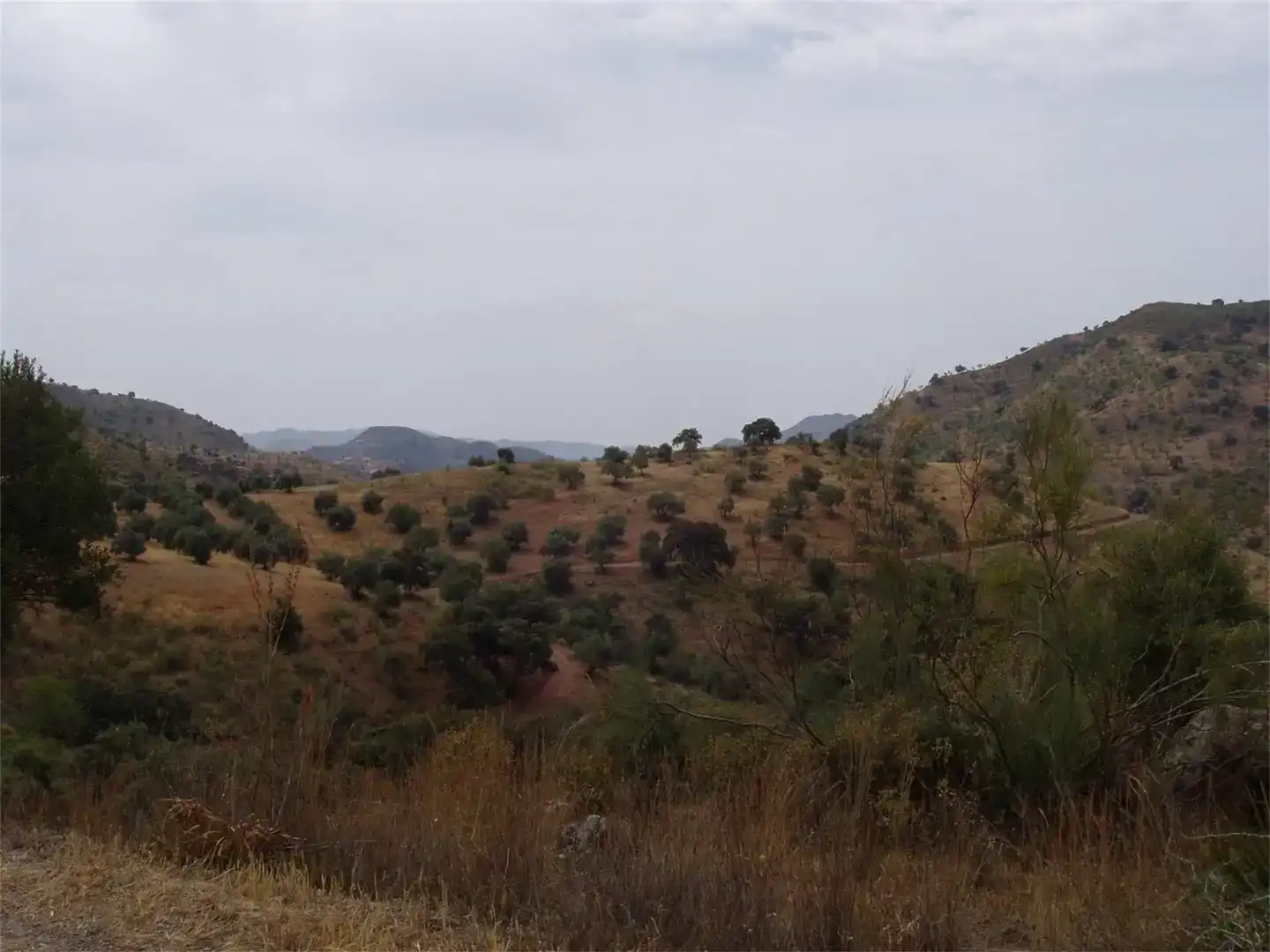 Finca rústica en venta en Almogía
