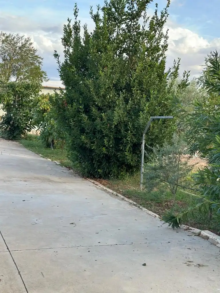 Finca rústica en venta en Tomelloso con Aire acondicionado, Jardín privado y Terraza