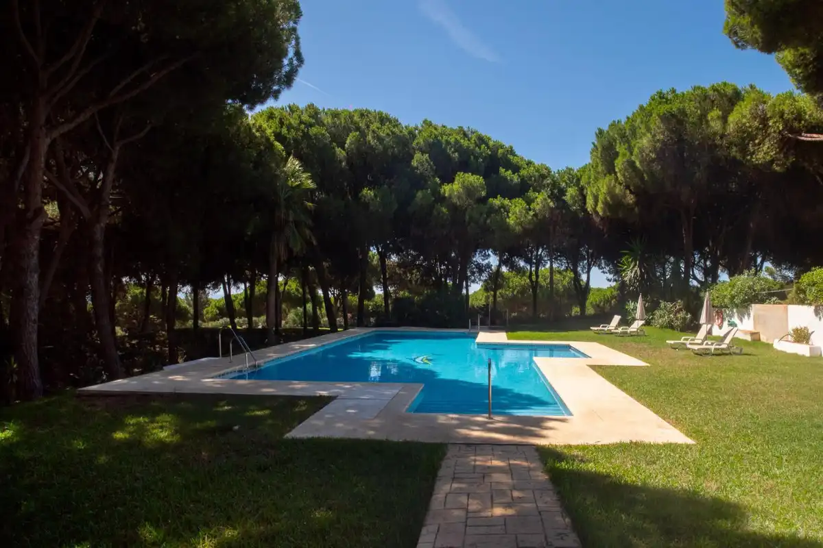 Jardín de Casa adosada en venta en Marbella con Terraza y Piscina