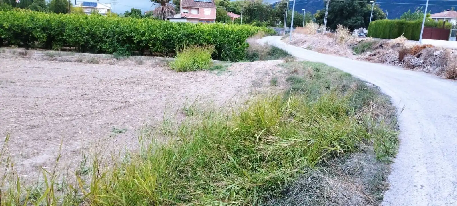 Terreny rústic en venda a Carril Ermita Los Alburquerques 42, imagen 7