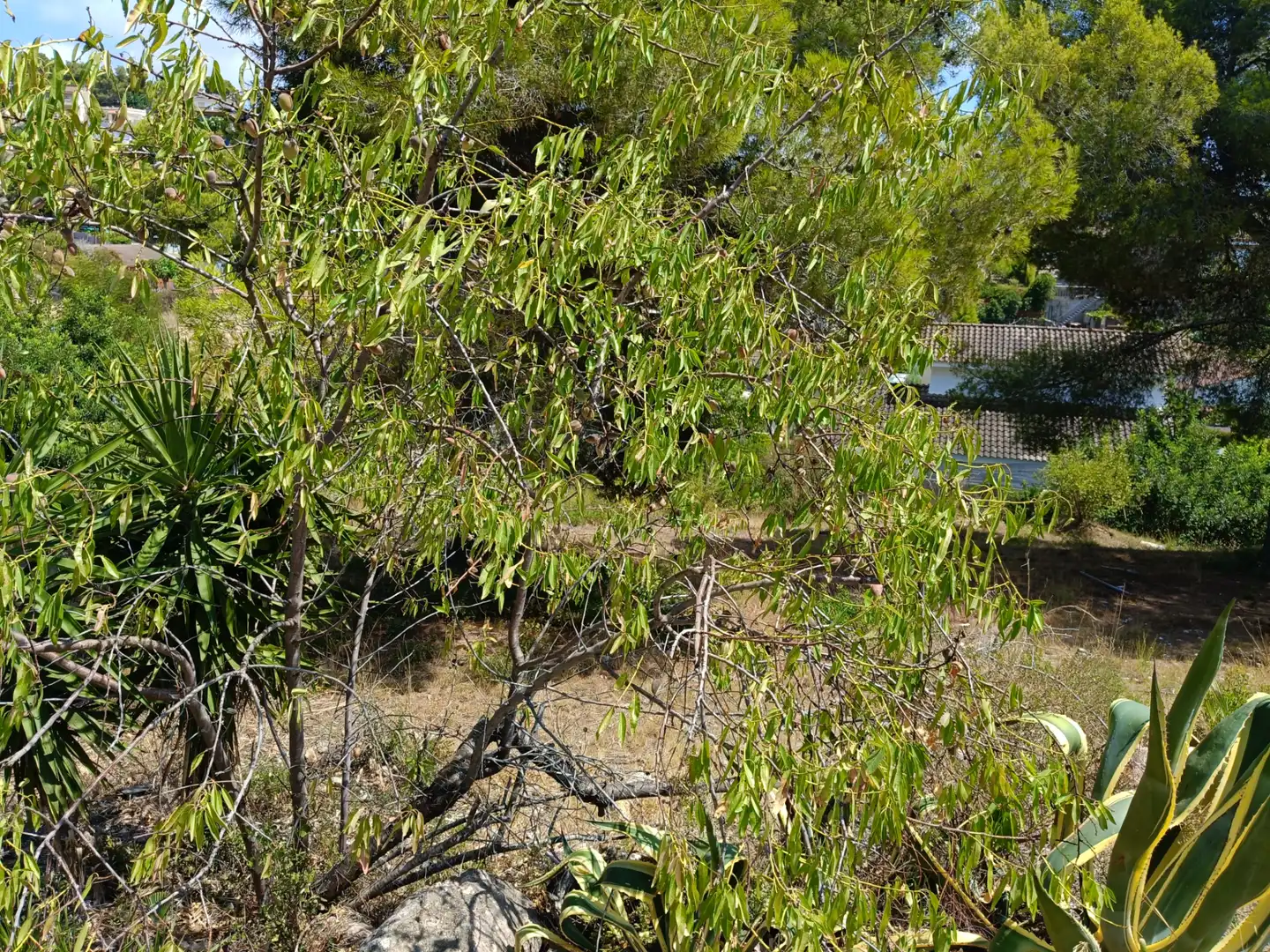Terreno residenziale in vendita a Carrer Cigne, imagen 6