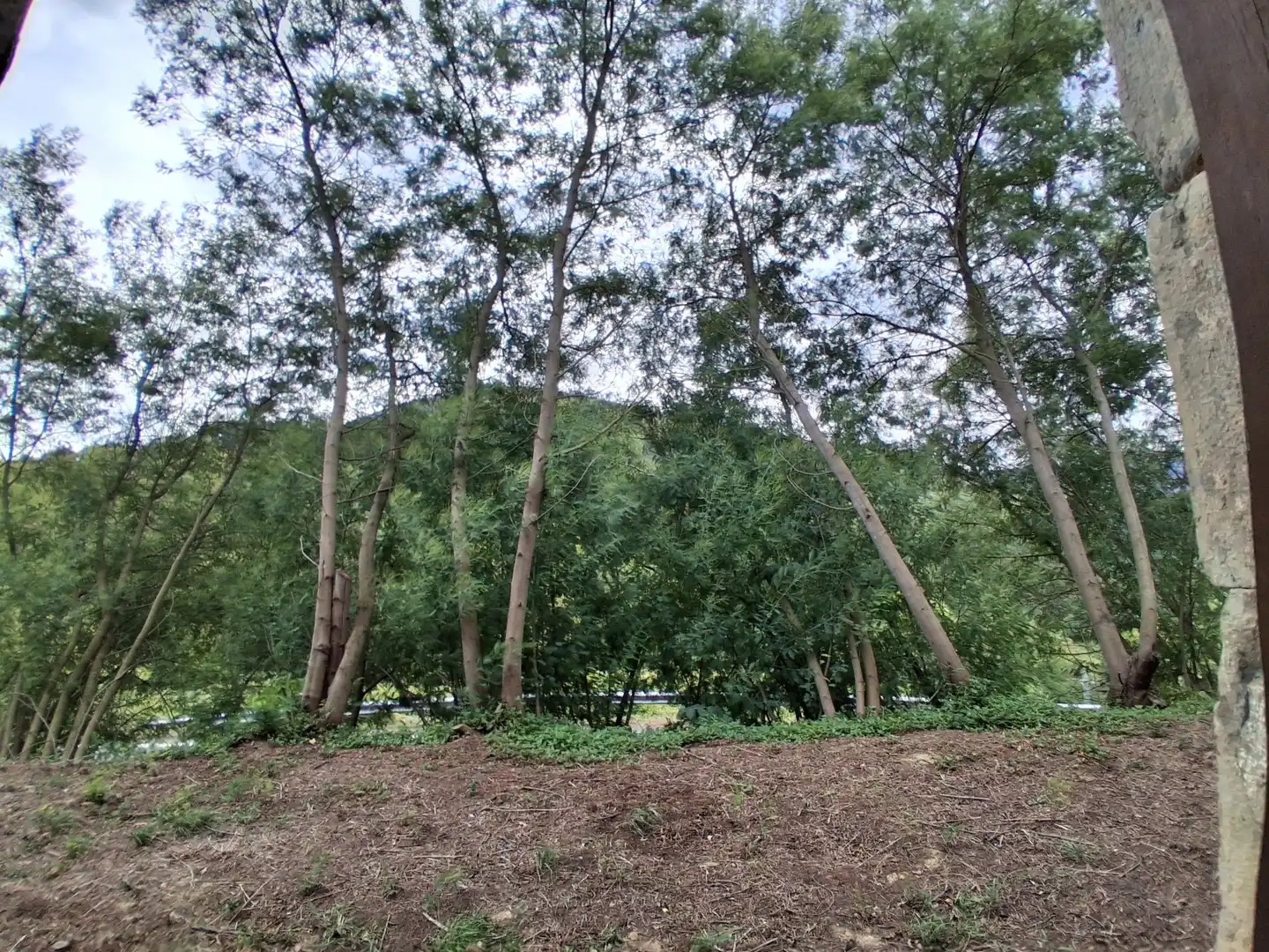Casa o xalet en venda en Laudio / Llodio, Araba - Álava