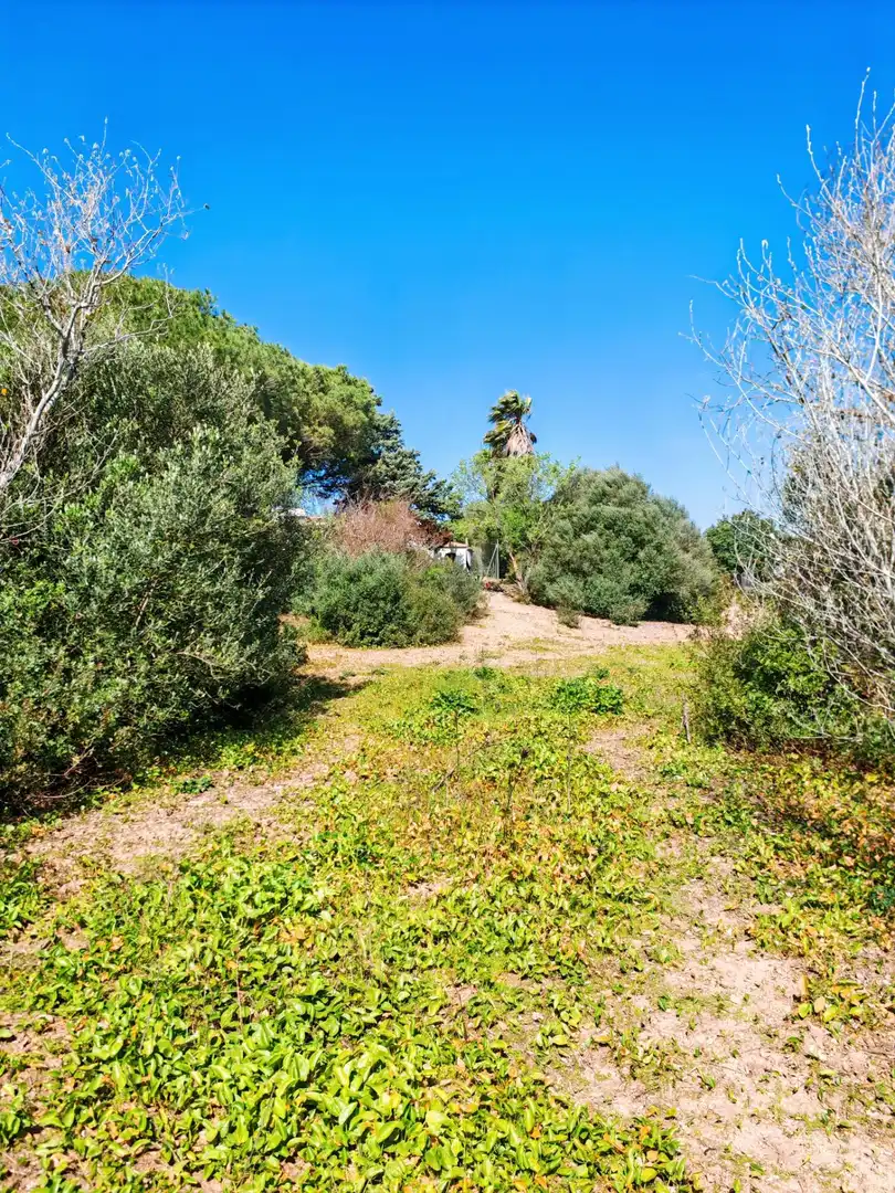 Casa o chalet en venta en Medina Sidonia con Jardín privado, Piscina y Amueblado