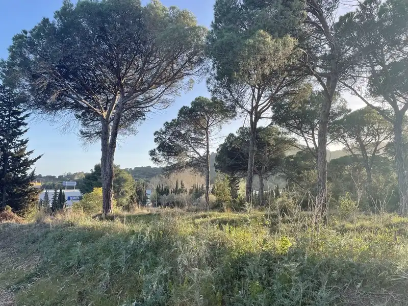 Rural land for sale in INDUSTRIAL CN II, POLIGONO 18, PARCELA 44, imagen 11