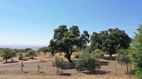 Foto 2 de Residencial en venda a Calle Carramonte, 1, Chiloeches, Guadalajara