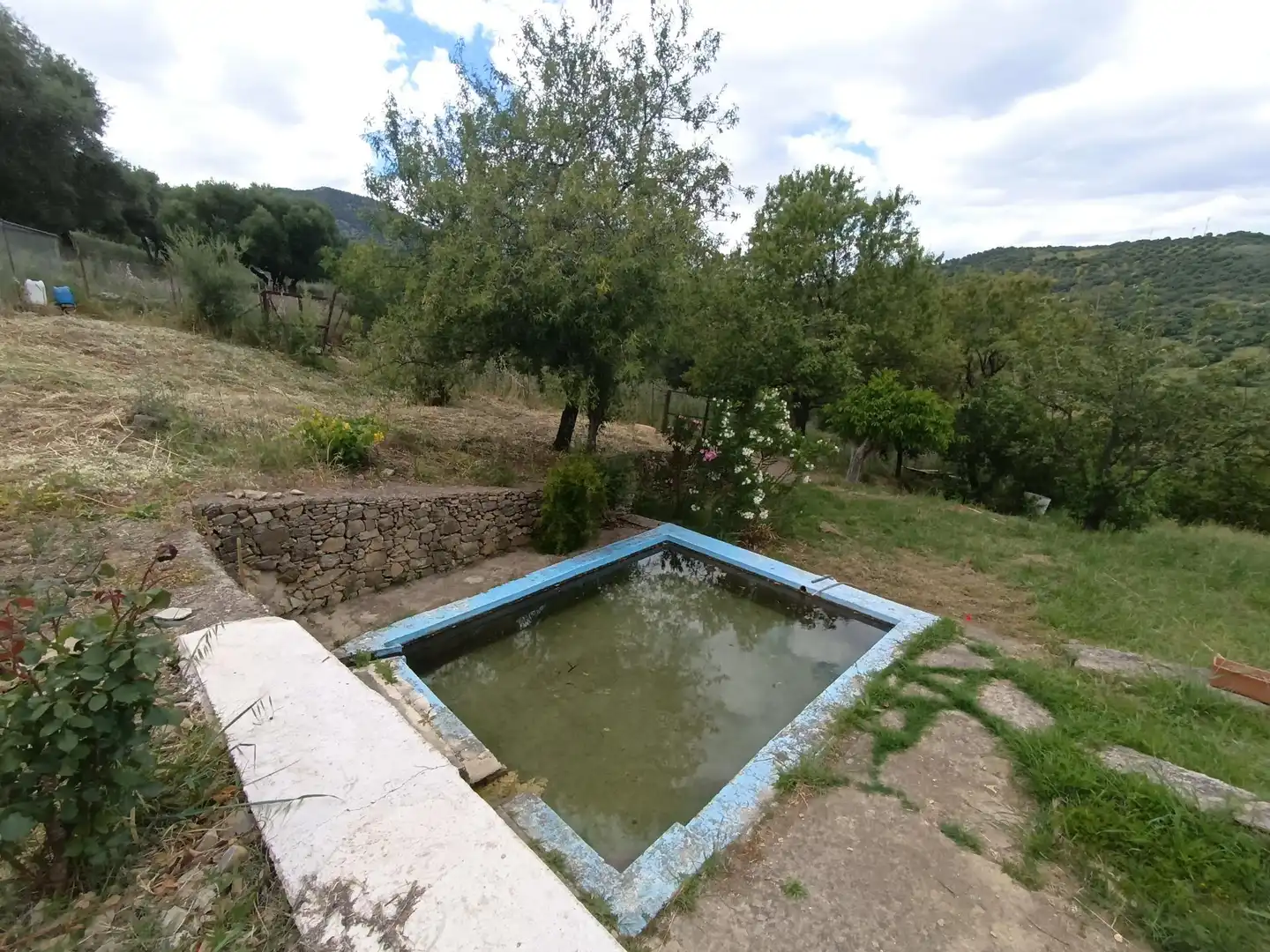 Swimming pool of Residential for sale in Ubrique
