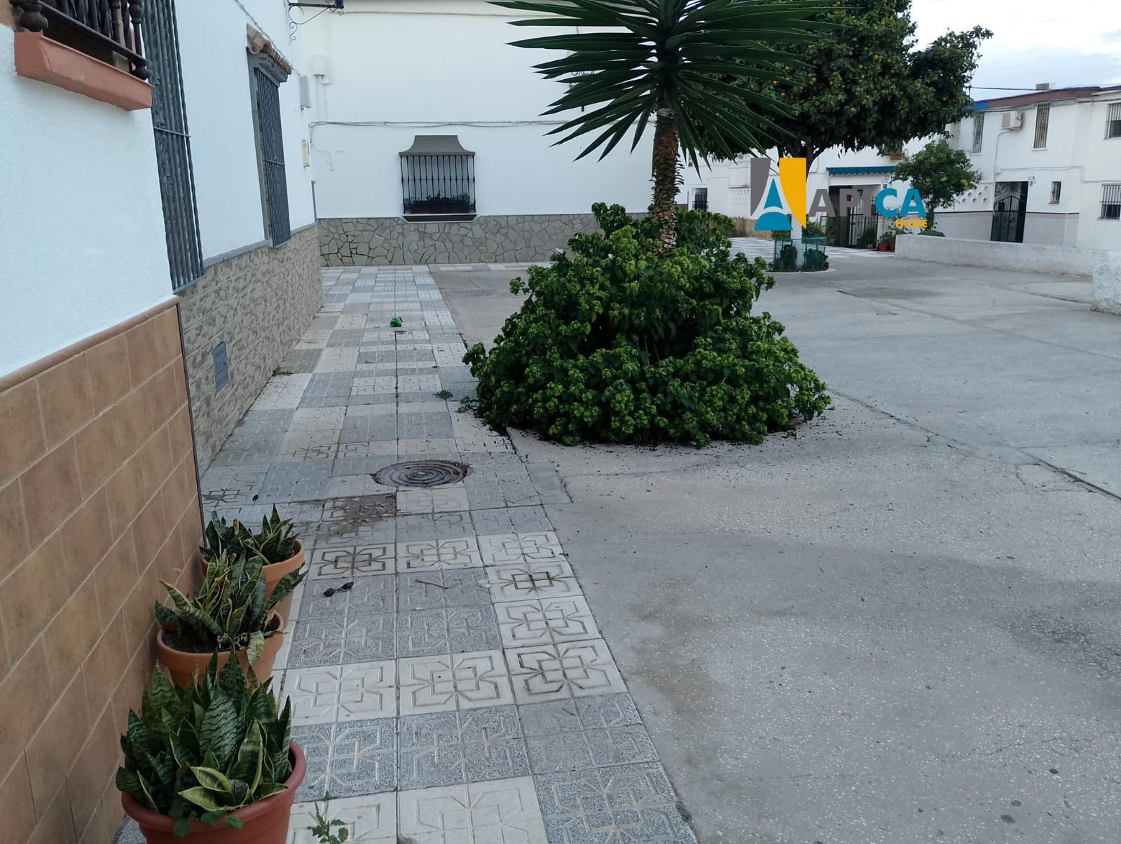 Vista exterior de Casa adosada en venta en Barbate con Amueblado