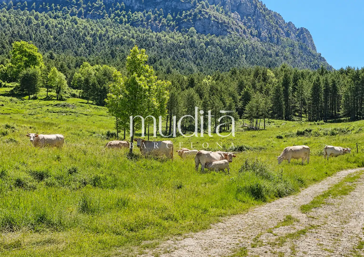 Finca rústica en venda en Guardiola de Berguedà amb Calefacció i Terrassa