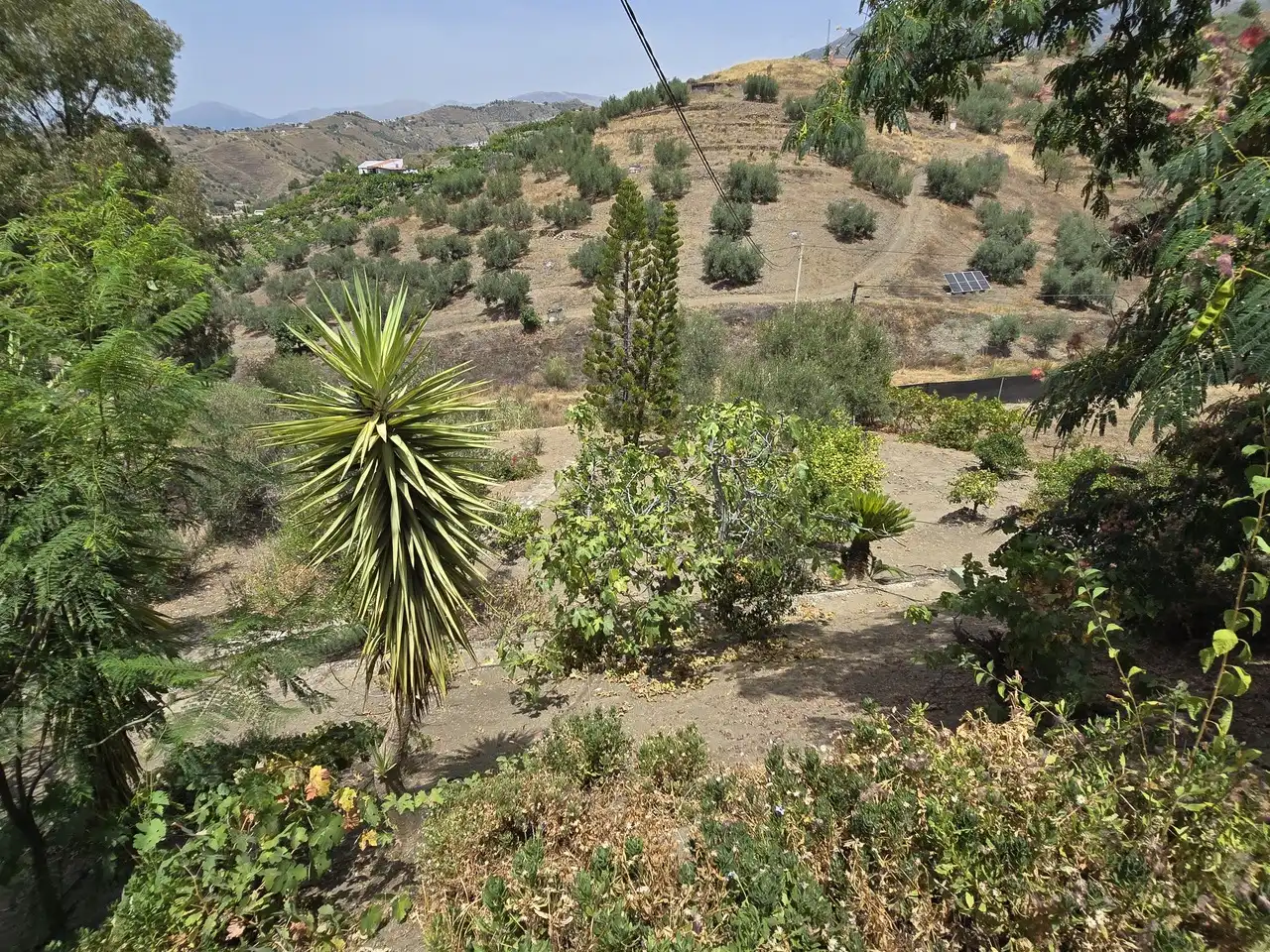 Jardín de Casa o chalet en venta en Canillas de Aceituno con Aire acondicionado y Terraza