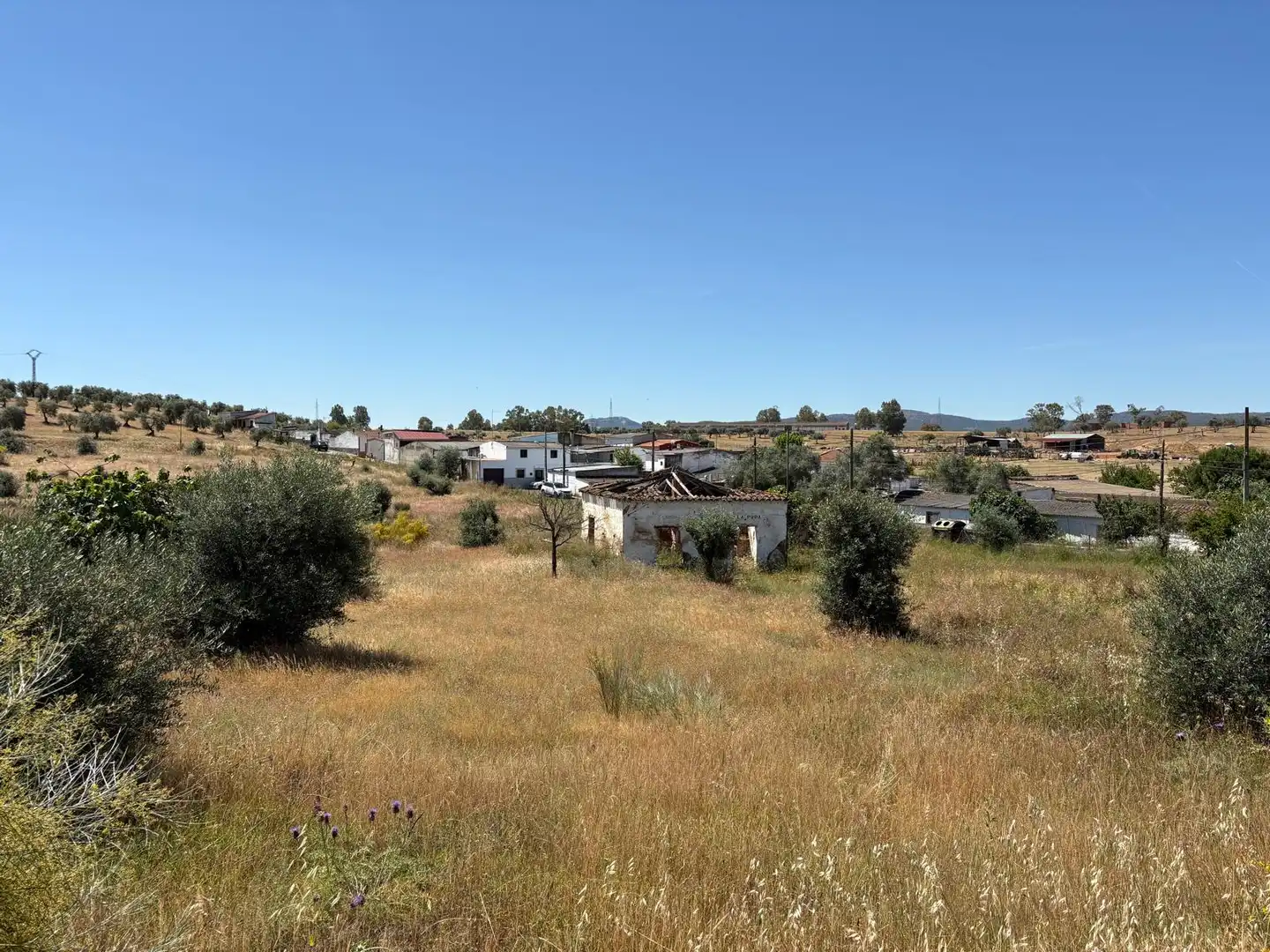 Terreni e lotti in vendita a Oeste