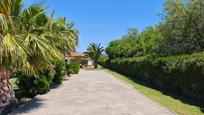 Jardí de Casa o xalet en venda en Puerto Real amb Piscina