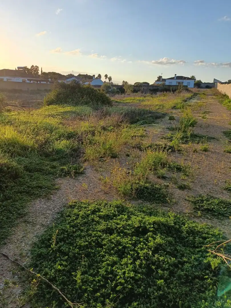 Casa o xalet en venda en Chiclana de la Frontera