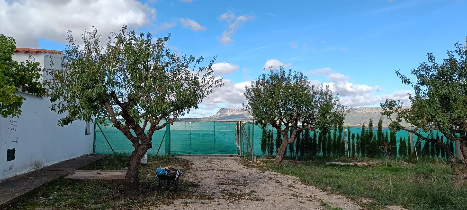 Casa o xalet en venda en Almansa amb Jardí privat
